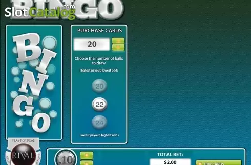 Скрин2. Instant Bingo (Rival Gaming) слот