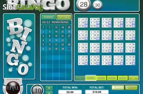 Скрин3. Instant Bingo (Rival Gaming) слот
