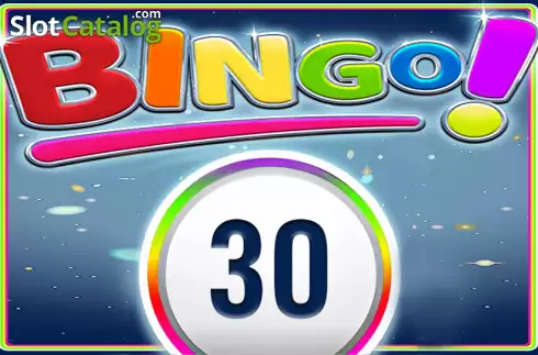 Bingo 30 Ball слот