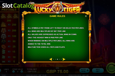 Скрин8. Lucky Tiger (Rocksalt Interactive) слот