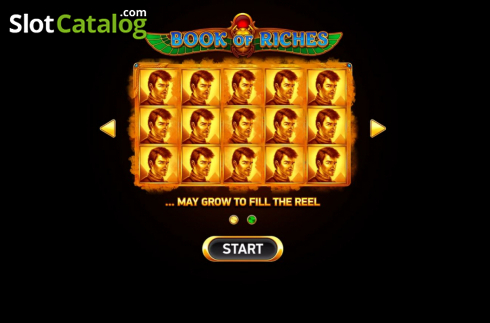 Скрин2. Book of Riches Deluxe слот