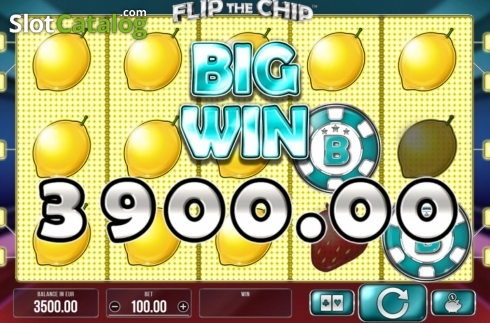 Скрин4. Flip the Chip слот