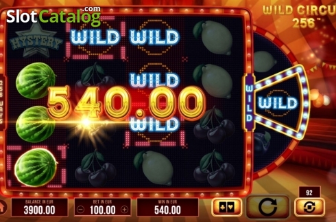 Скрин3. Wild Circus 256 слот
