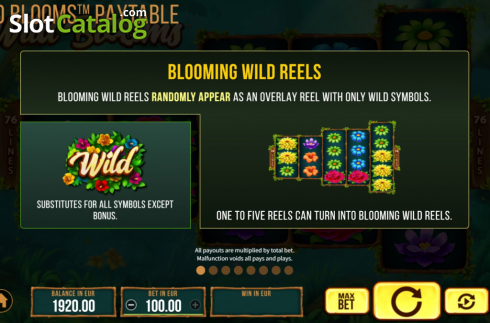 Скрин8. Wild Bloom слот