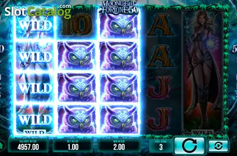 Скрин9. Moonlight Fortune 50 слот