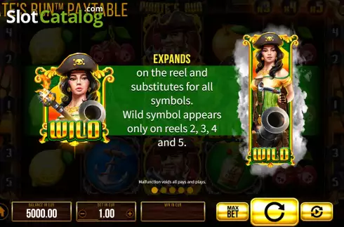 Скрин9. Pirate's Run слот