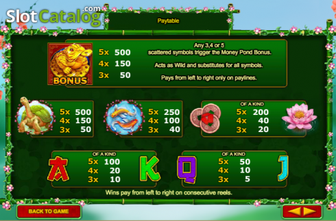 Скрин6. Golden Money Frog слот