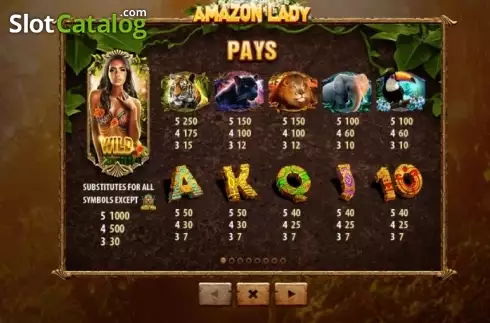 Скрин5. Amazon Lady слот