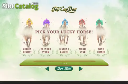 Скрин2. Top Cup Day слот