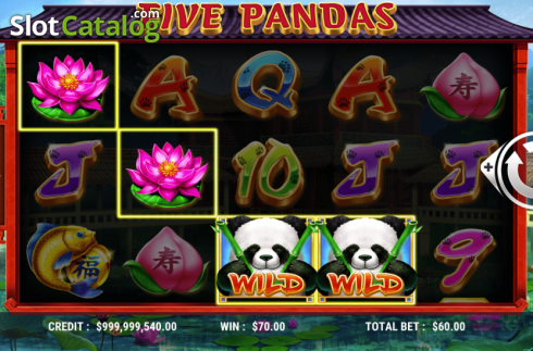 Скрин4. Five Pandas слот