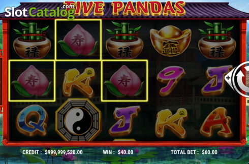 Скрин5. Five Pandas слот