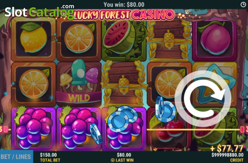 Скрин4. Lucky Forest Casino слот