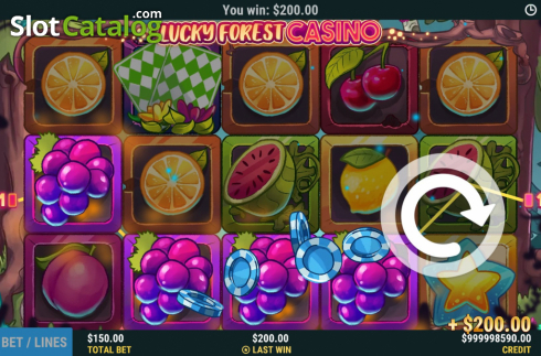 Скрин5. Lucky Forest Casino слот