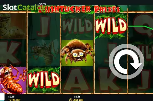 Скрин4. Bushtucker Prizes слот