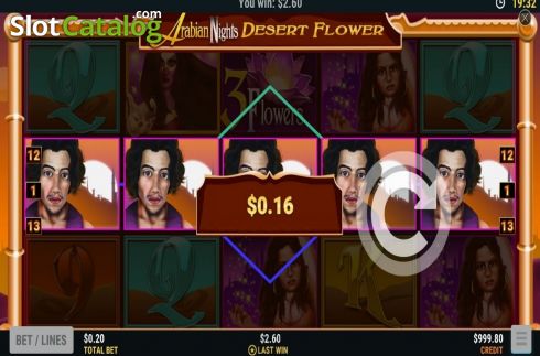 Скрин3. Desert Flower слот