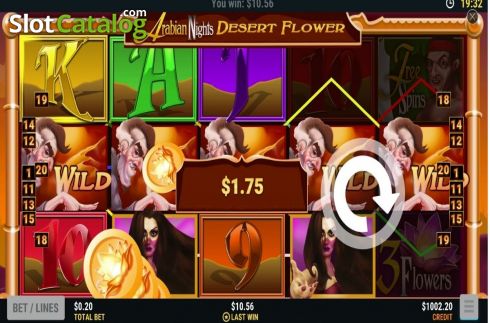 Скрин4. Desert Flower слот