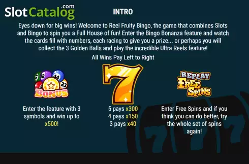 Скрин5. Reel Fruity Bingo слот