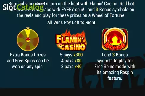 Скрин9. Flamin Casino слот