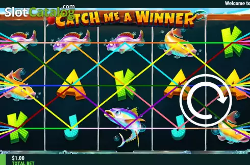 Скрин2. Catch Me A Winner слот