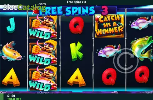 Скрин6. Catch Me A Winner слот