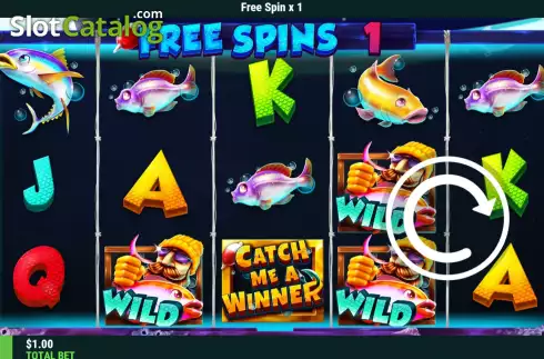 Скрин7. Catch Me A Winner слот