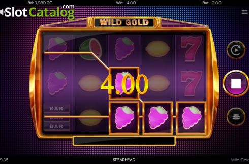 Скрин5. Wild Gold (Spearhead Studios) слот