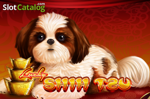 Lucky Shih Tzu логотип