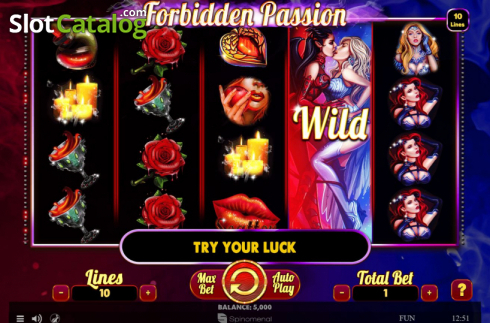 Скрин2. Forbidden Passion слот