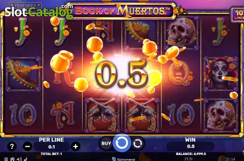 Скрин3. Book of Muertos слот