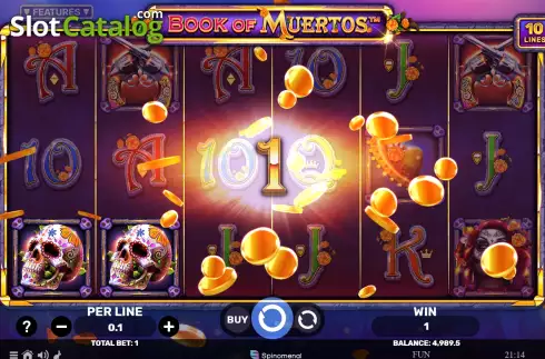 Скрин4. Book of Muertos слот