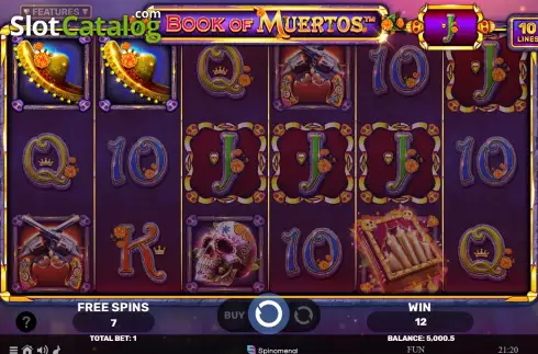 Скрин6. Book of Muertos слот