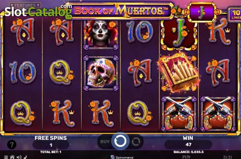 Скрин7. Book of Muertos слот