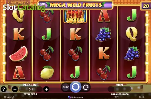 Скрин2. Mega Wild Fruits слот