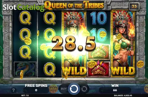 Скрин3. Queen of the Tribes слот