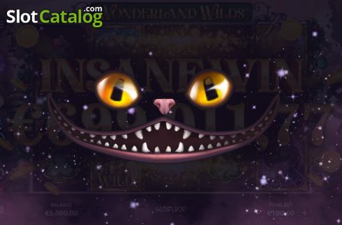 Скрин5. Wonderland Wilds слот