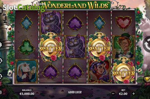 Скрин7. Wonderland Wilds слот