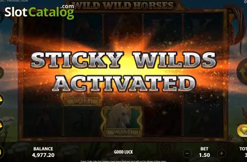 Скрин6. Wild Wild Horses слот