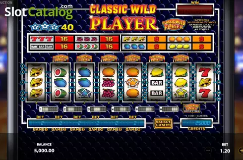 Скрин2. Classic Wild Player слот