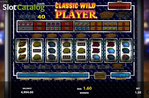 Скрин3. Classic Wild Player слот