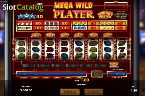 Скрин3. Mega Wild Player слот
