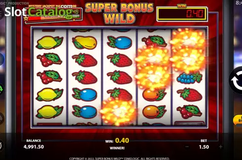 Скрин3. Super Bonus Wild слот