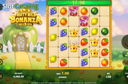 Скрин5. Fruity Wild Bonanza Hold and Spin слот