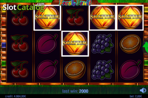 Скрин3. Fresh Fruit (Swintt) слот