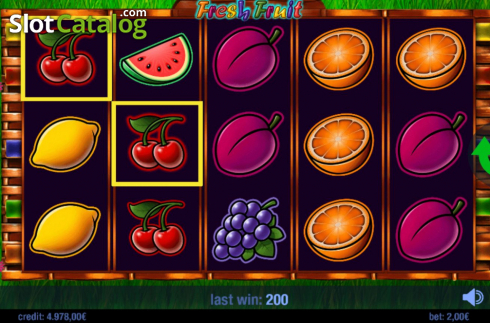 Скрин4. Fresh Fruit (Swintt) слот