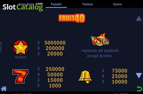 Скрин5. Fruit 40 слот