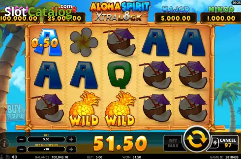 Скрин5. Aloha Spirit XtraLock слот