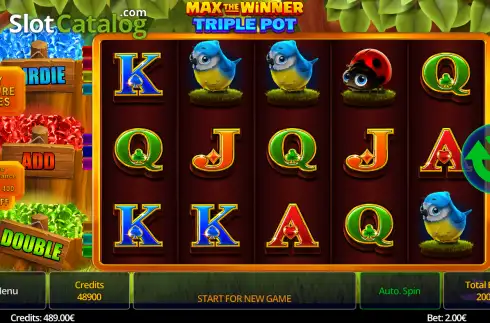 Скрин2. Max the Winner: Triple Pot слот