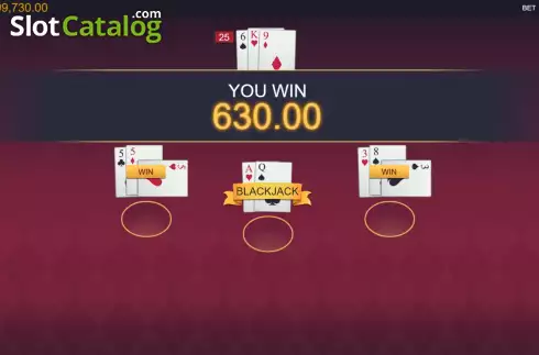 Скрин5. Perfect Strategy Blackjack слот