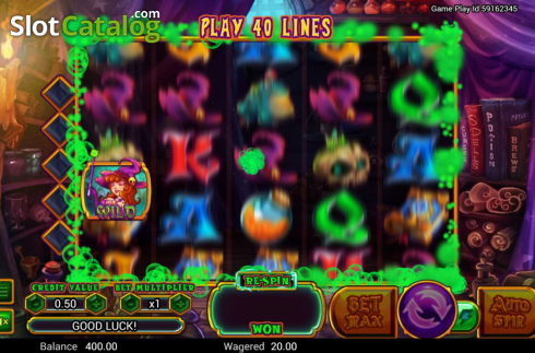 Скрин4. Wild Wild Witch слот