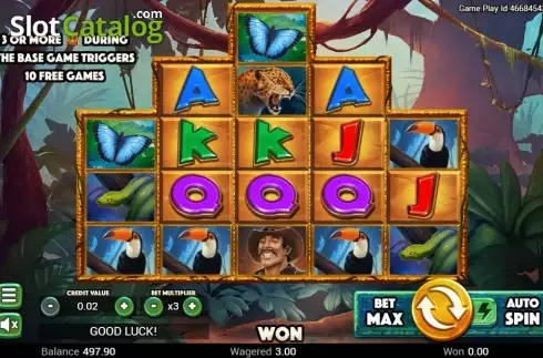 Скрин2. Golden Amazon слот